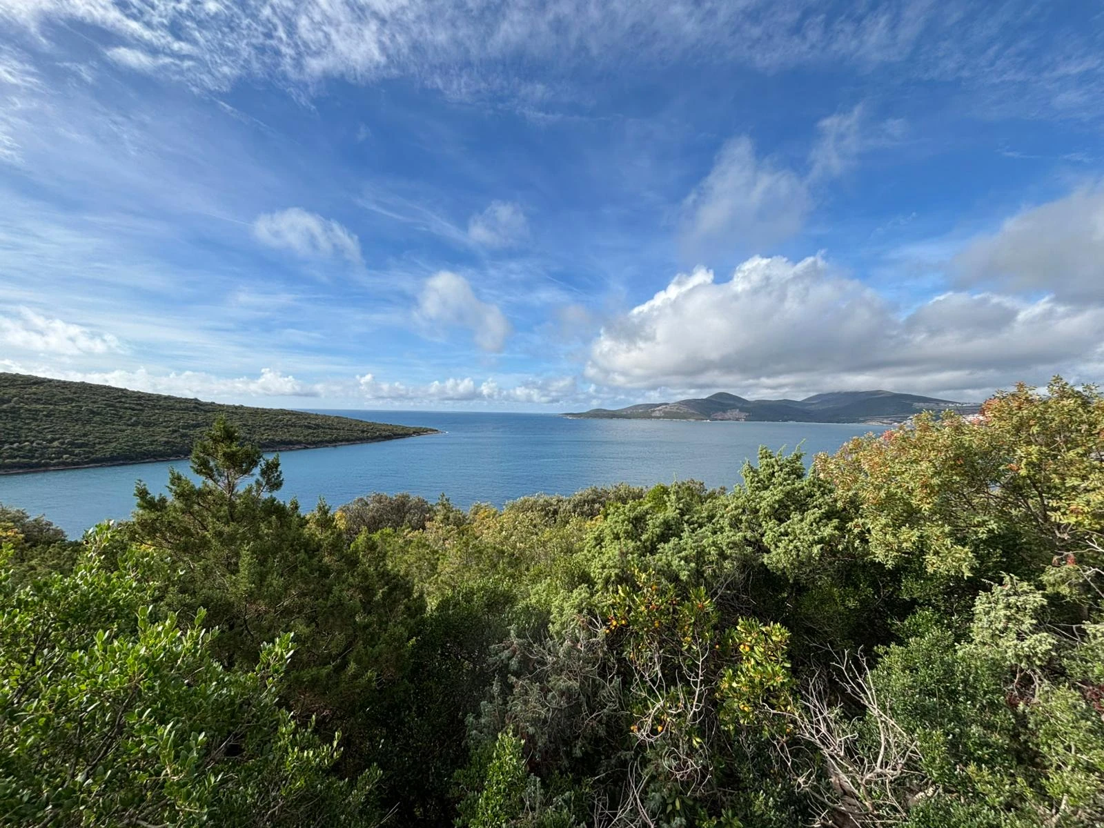 600 M2 URBANIZED PLOT | BIGOVA